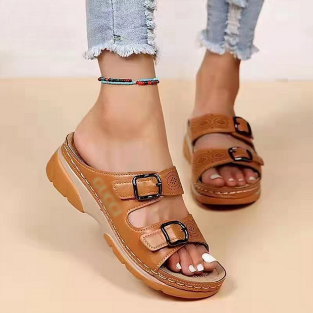 TerraStep Slides